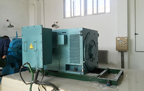 汉阳某水电站工程主水泵使用我公司高压电机